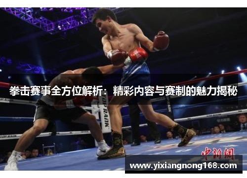 拳击赛事全方位解析：精彩内容与赛制的魅力揭秘