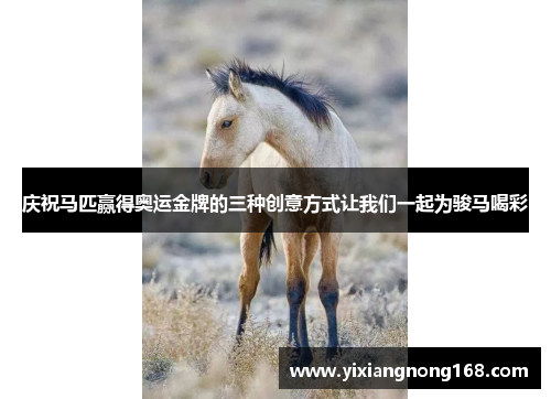 庆祝马匹赢得奥运金牌的三种创意方式让我们一起为骏马喝彩
