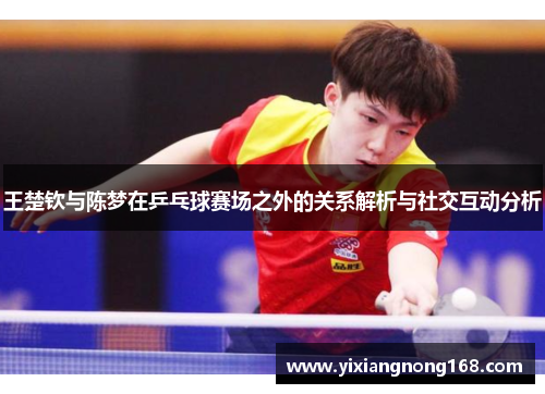 王楚钦与陈梦在乒乓球赛场之外的关系解析与社交互动分析
